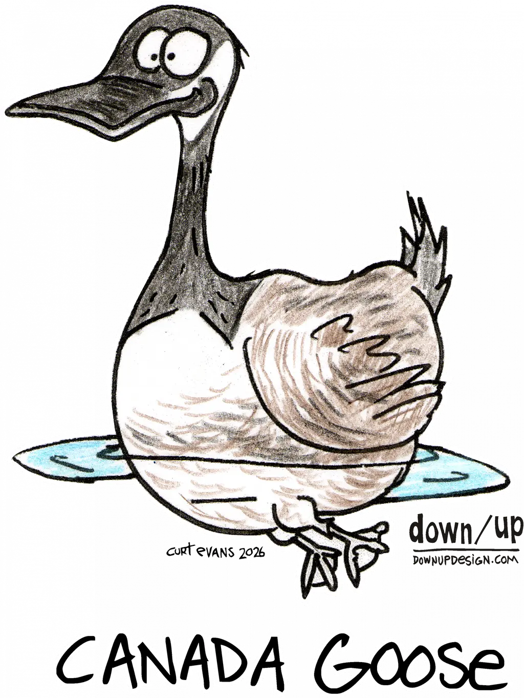 Canada Goose — original artwork