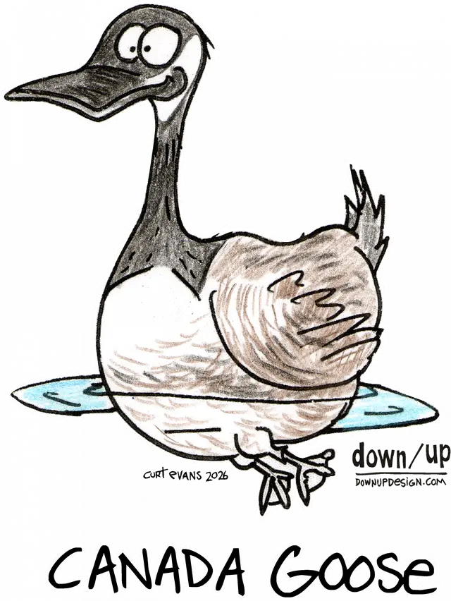 Canada Goose — original artwork