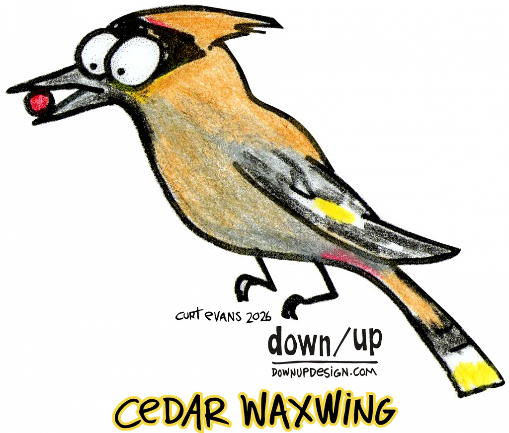 Cedar Waxwing — original artwork