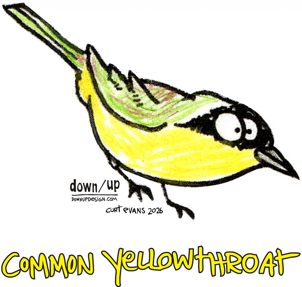 Common Yellowthroat — original artwork