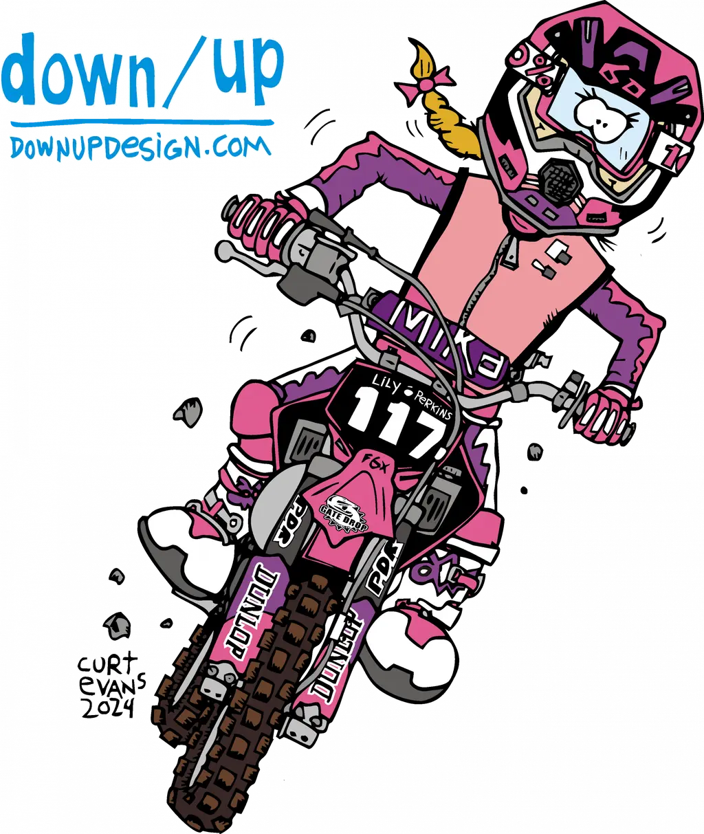 Gate Drop – Lily Perkins — original artwork