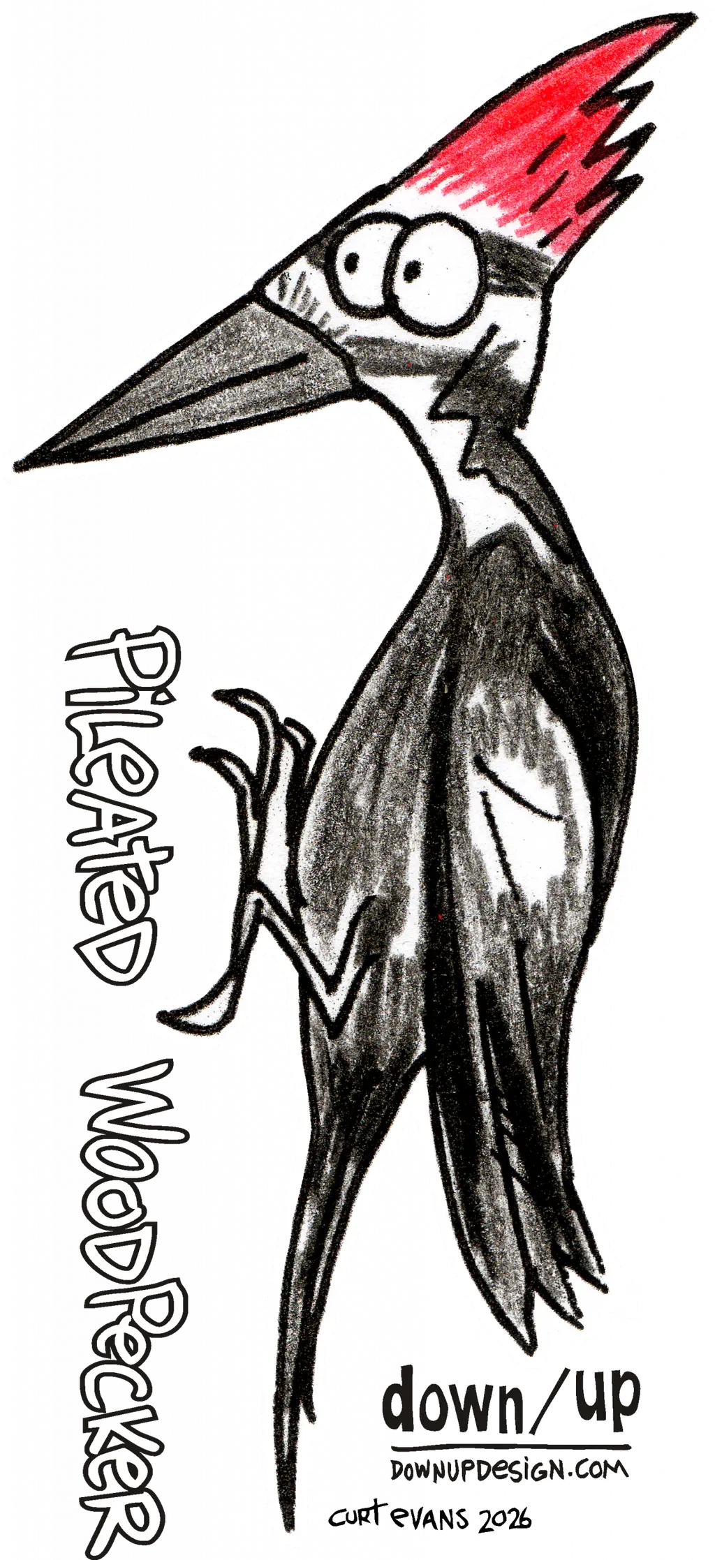 Pileated Woodpecker — original artwork
