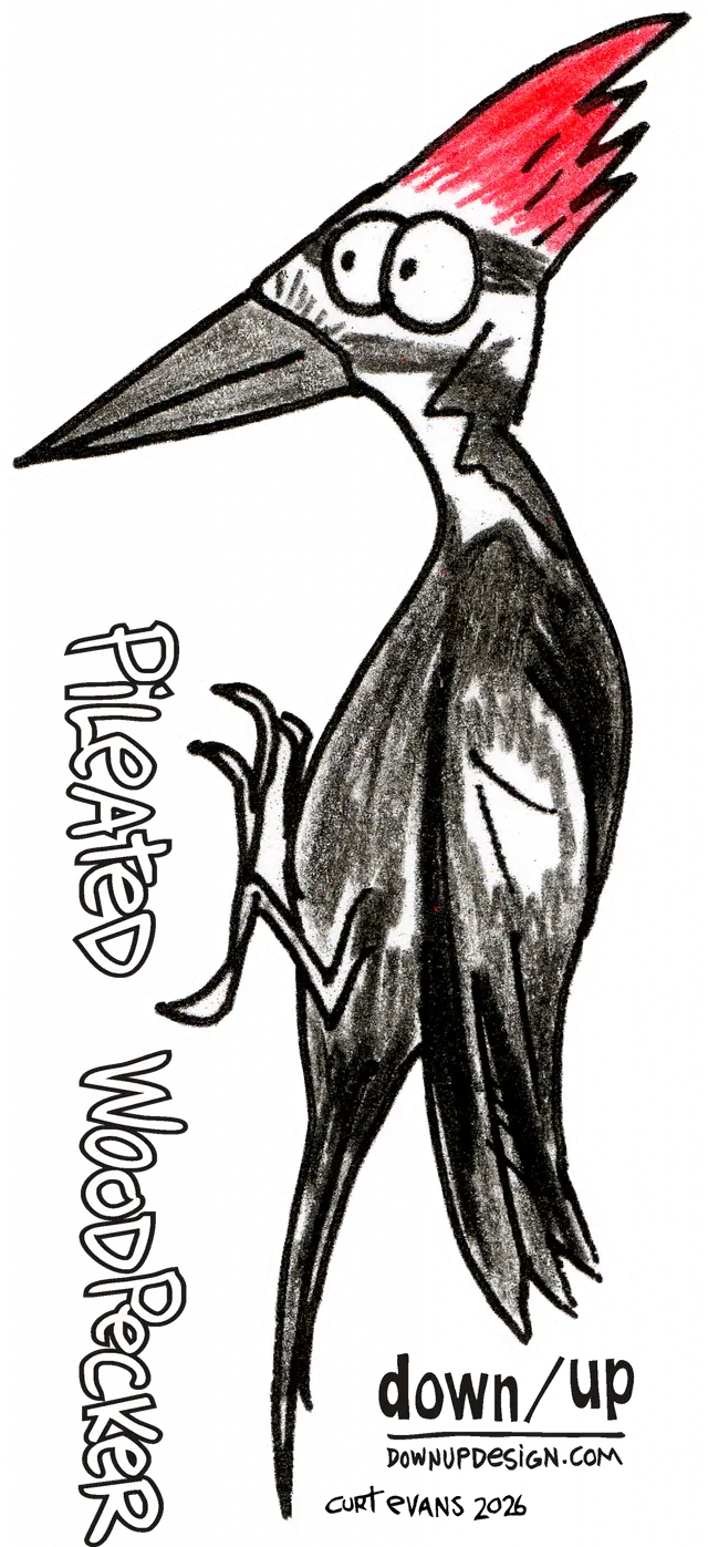 Pileated Woodpecker — original artwork