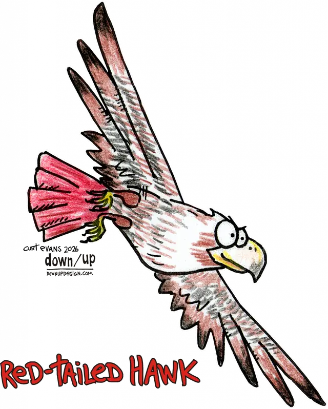 Red-tailed Hawk — original artwork