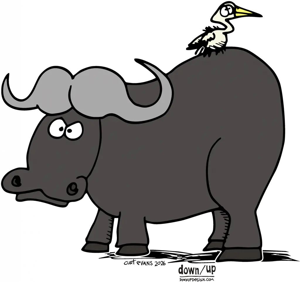 Water Buffalo — original artwork