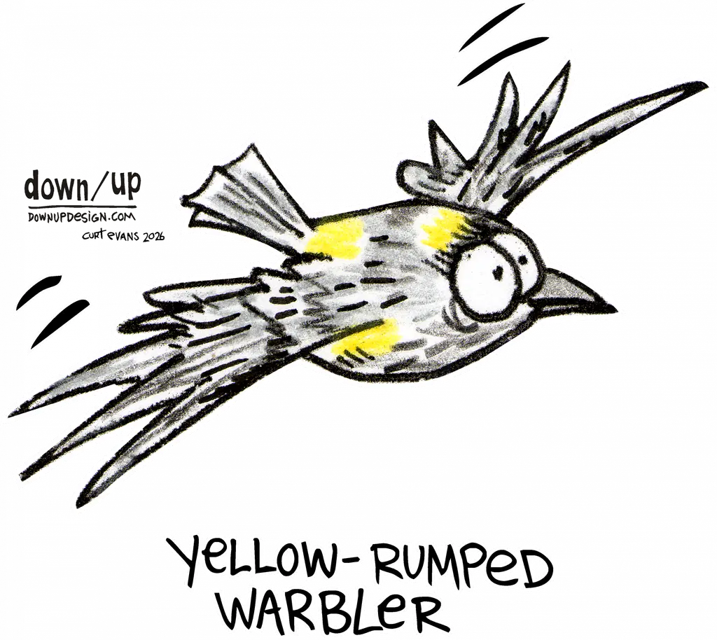 Yellow-rumped Warbler — original artwork