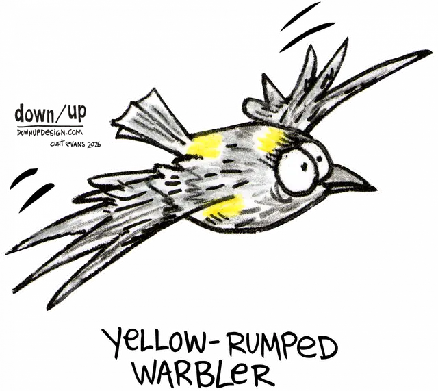 Yellow-rumped Warbler — original artwork